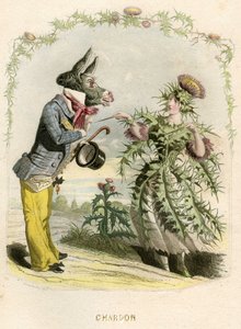 Ilustración para "Les Fleurs Animees