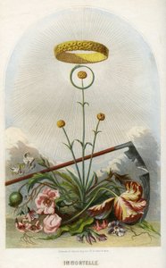 Ilustración para "Les Fleurs Animees de Grandville (1803 47)