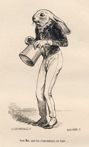 Liebre miedosa con traje de dandi. Viñetas ilustradas por JJ Granville. Grabado firmado Breviere en la parte "Historia de una liebre" escrito por PJ Stahl en "Escenas de la vida privada y pública de los animales". París, J. Hetzel y Paulin de Grandville