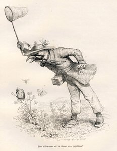 Oiseau chassant les papillons de Grandville