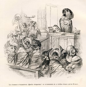 Loro elocuente. Viñetas ilustradas por JJ Granville. Grabado firmado Porret en la parte titulada "Guía-burro para el uso de los animales que quieren alcanzar honores" escrito por Honoré De Balzac en "Escenas de la vida privada y pública de los animales" de Grandville