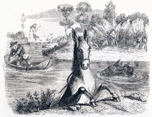 El burro con la esponja y el burro con la sal - Fábulas de La Fontaine de Grandville