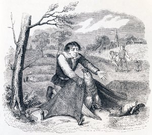El cazador de aves, el azor y la alondra - Fábulas de La Fontaine de Grandville
