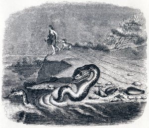 La cabeza y la cola de la serpiente - Fábulas de La Fontaine de Grandville