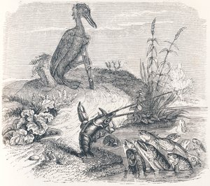 Los peces y el cormorán (Les poissons et le cormoran) - Fábulas de La Fontaine de Grandville