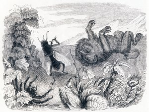 El león y la niebla - Fábulas de La Fontaine