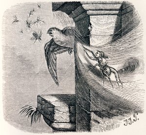 La araña y la golondrina - Fábulas de La Fontaine de Grandville