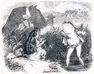Los dos toros y una rana - Fábulas de La Fontaine