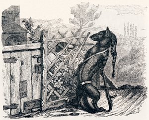 El lobo y el perro flaco - Fábulas de La Fontaine de Grandville