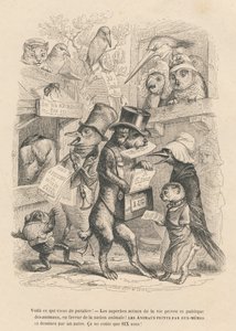 Esto es lo que acaba de aparecer. Gato y pájaro vendiendo el presente libro por seis sueldos. Viñetas ilustradas por JJ Granville. Grabado firmado Andrew, Best y Leloir en el prólogo titulado "Resumen parlamentario" escrito por PJ Stahl en "Escenas de la v