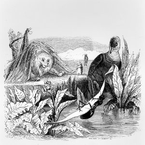La paloma y la hormiga y el león y la rata, ilustración para 