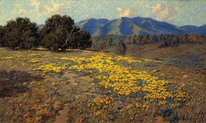 Amapolas de California de Granville Redmond