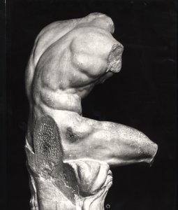 Torso de Belvedere de Greco Roman Greco Roman