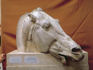 Cabeza de un Caballo de Selene