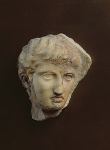 Cabeza de un caballero conocido como La Coulonche de Greek