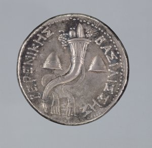 Didracma de plata de Berenice II (plata)