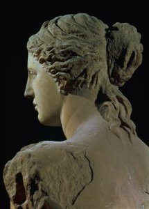 Venus de Milo, detalle de la parte posterior de la cabeza