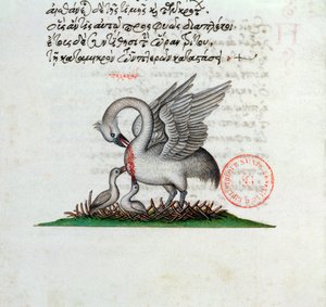 Ms 3401 Un pelícano perforando su pecho para alimentar a sus crías, de un Bestiario de Manuel Philes, 1566 de Greek School