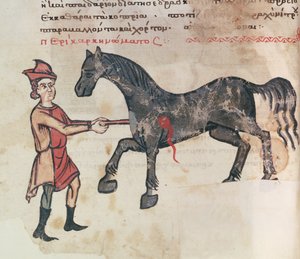 Ms Grec 2244 fol.37v Operando a un caballo