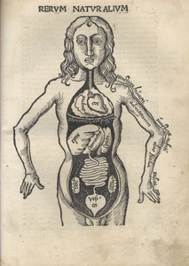 Margarita Philosophica. Anatomía, 1504 de Gregor Reisch