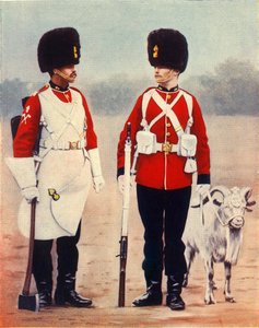 Los Fusileros Reales Galeses, 1901