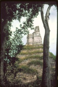 Templo de las Inscripciones, c. 700 DC de Guatemalan School