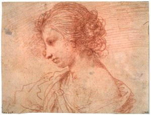 Retrato de busto de una joven, siglo XVII