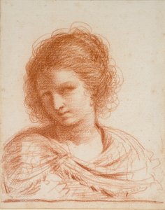 Cabeza de una joven, 1550-1666 de Guercino