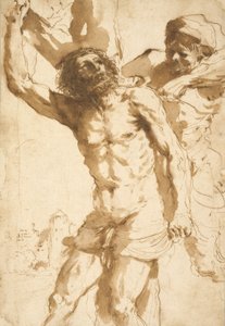 Estudio para El Martirio de San Bartolomé, 1635-36 de Guercino