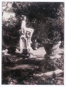 Fotógrafo (foto) de Guglielmo (1852 1930) Plüschow