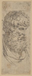 Busto de un hombre con barba de Guido Reni