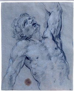 Medio cuerpo de hombre desnudo, se voltea, pretendiendo sufrir