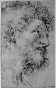 Cabeza de san Crispín de Guido Reni