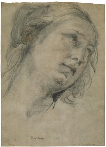 La cabeza de una joven mirando hacia arriba de Guido Reni