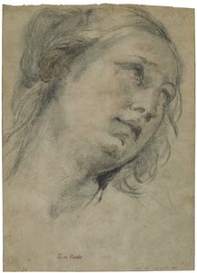 La cabeza de una joven mirando hacia arriba, c.1609 de Guido Reni