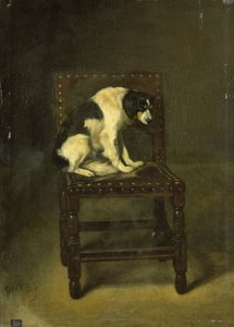 Un perro en una silla de Guillaume Anne van der Brugghen