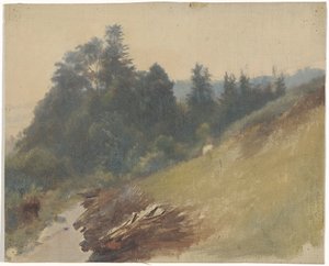 Ladera de la montaña con pinos de Guillaume Anne van der Brugghen