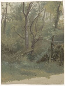 Vista del bosque de Guillaume Anne van der Brugghen