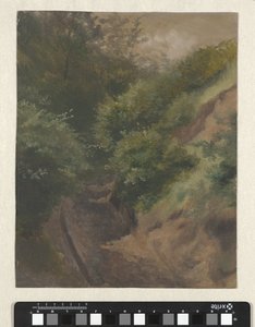 Duinweg de Guillaume Anne van der Brugghen