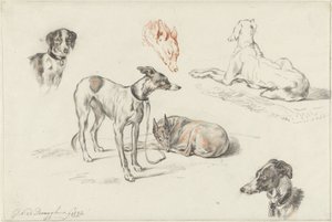 Estudios sobre perros de Guillaume Anne van der Brugghen