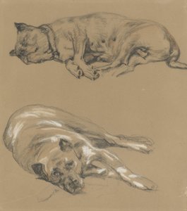 Dos estudios de un perro reclinado de Guillaume Anne van der Brugghen