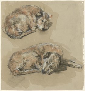 Dos estudios de un perro reclinado de Guillaume Anne van der Brugghen