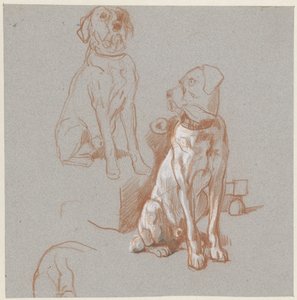 Dos estudios de un perro sentado de Guillaume Anne van der Brugghen
