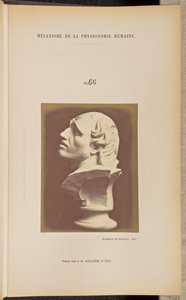 Fig. 66