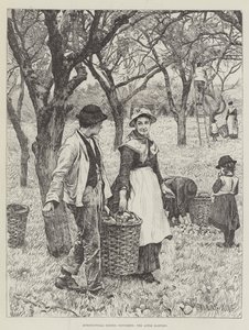 Escenas agrícolas, noviembre, la cosecha de manzanas de Gunning King