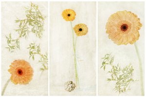 Tríptico de gerberas suaves de Gustav Davidsson