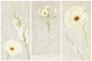 Flores blancas y delicadas de Gustav Davidsson