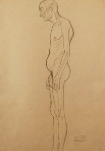 Hombre Desnudo de Gustav Klimt