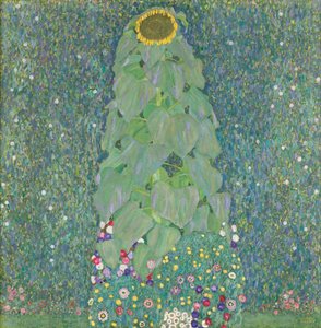 Girasol, 1907-1908