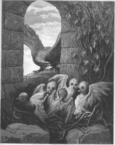 El águila y el búho - de 